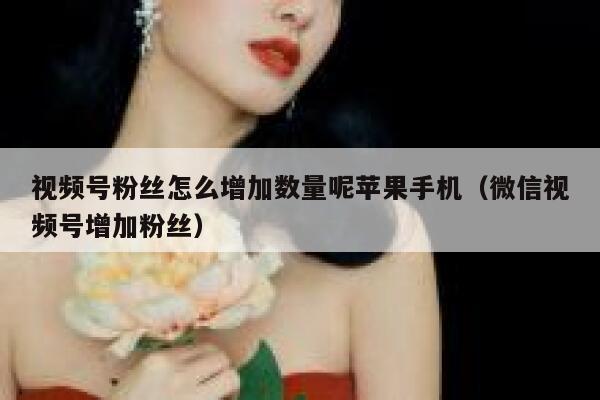 视频号粉丝怎么增加数量呢苹果手机（微信视频号增加粉丝） 第1张