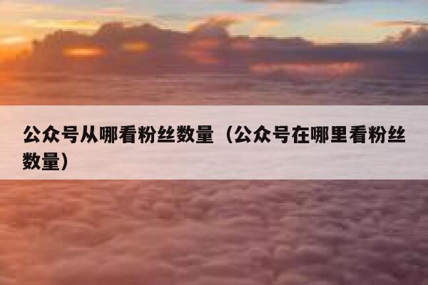 公众号从哪看粉丝数量（公众号在哪里看粉丝数量） 第1张