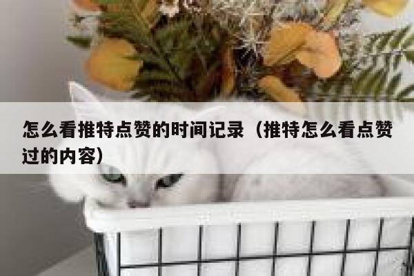 怎么看推特点赞的时间记录（推特怎么看点赞过的内容） 第1张