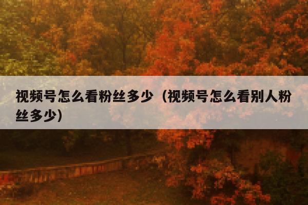 视频号怎么看粉丝多少（视频号怎么看别人粉丝多少） 第1张