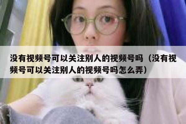 没有视频号可以关注别人的视频号吗（没有视频号可以关注别人的视频号吗怎么弄） 第1张