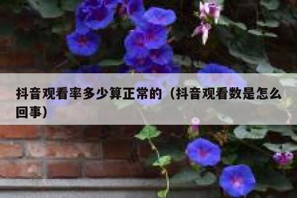 抖音观看率多少算正常的（抖音观看数是怎么回事） 第1张