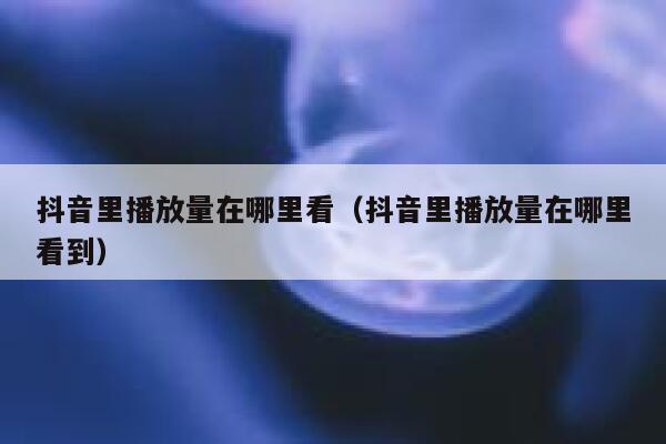 抖音里播放量在哪里看（抖音里播放量在哪里看到） 第1张