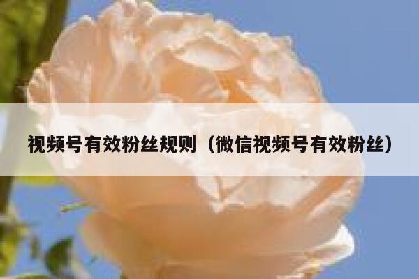 视频号有效粉丝规则（微信视频号有效粉丝） 第1张