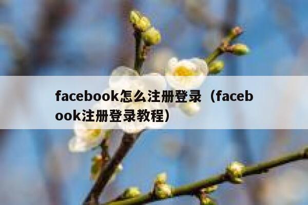 facebook怎么注册登录（facebook注册登录教程） 第1张