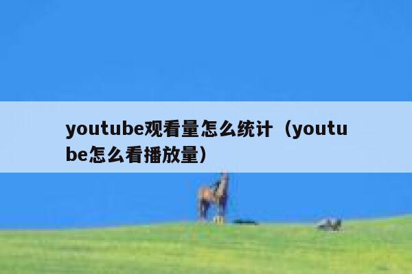 youtube观看量怎么统计（youtube怎么看播放量） 第1张