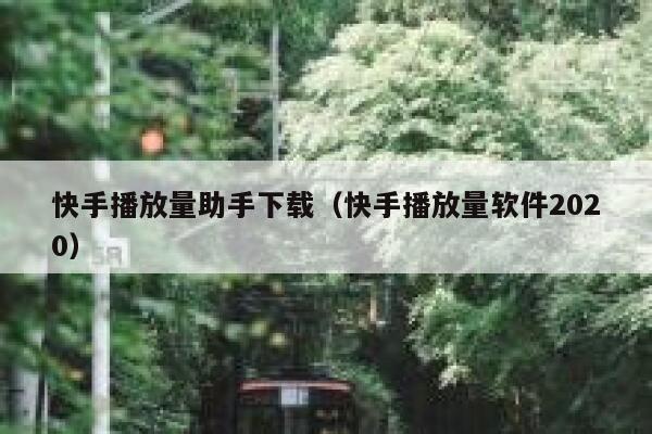 快手播放量助手下载（快手播放量软件2020） 第1张