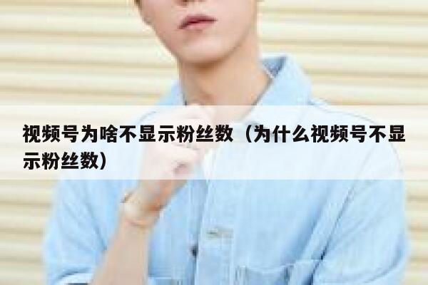 视频号为啥不显示粉丝数（为什么视频号不显示粉丝数） 第1张