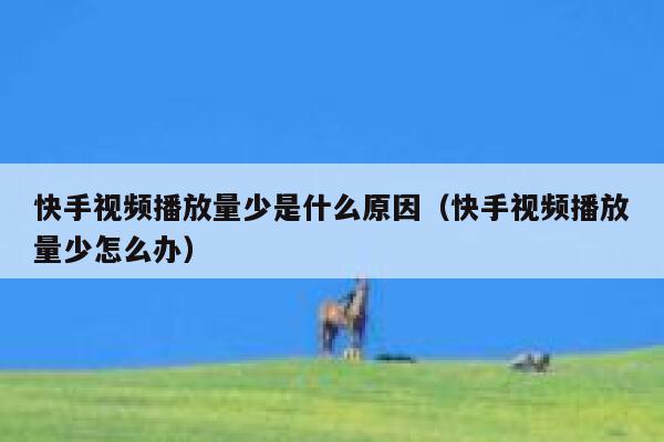 快手视频播放量少是什么原因（快手视频播放量少怎么办） 第1张