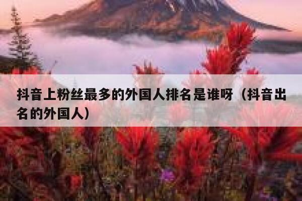 抖音上粉丝最多的外国人排名是谁呀（抖音出名的外国人） 第1张