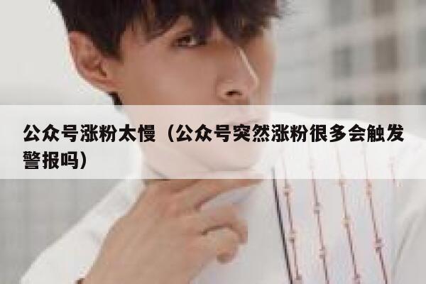 公众号涨粉太慢（公众号突然涨粉很多会触发警报吗） 第1张