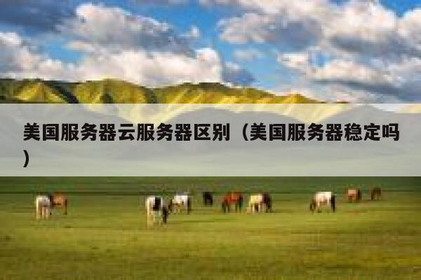 美国服务器云服务器区别（美国服务器稳定吗） 第1张
