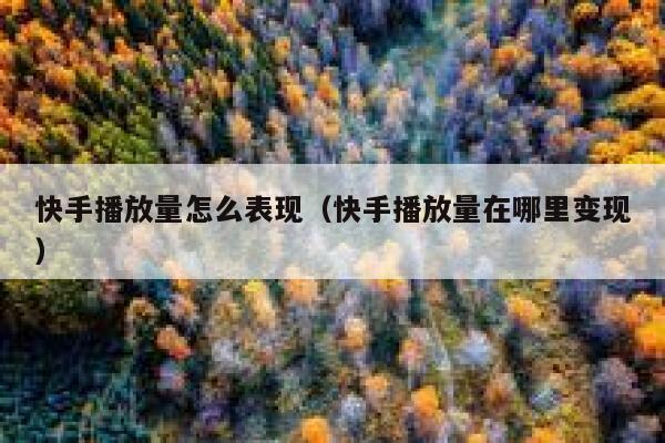快手播放量怎么表现（快手播放量在哪里变现） 第1张