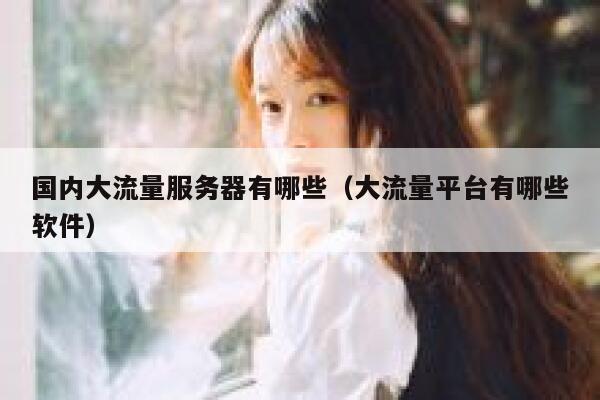 国内大流量服务器有哪些（大流量平台有哪些软件） 第1张