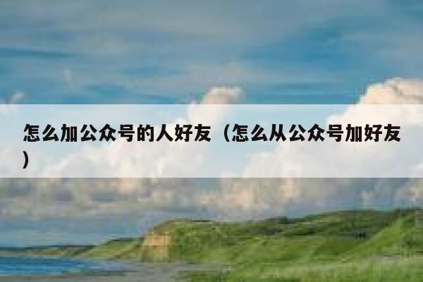 怎么加公众号的人好友（怎么从公众号加好友） 第1张
