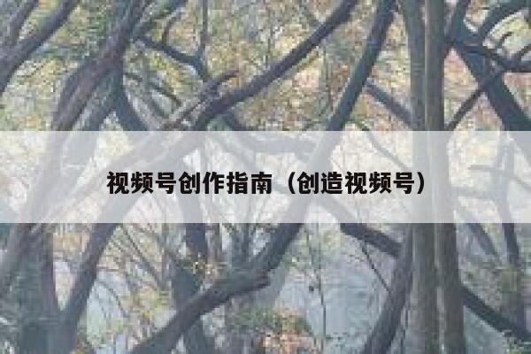 视频号创作指南（创造视频号） 第1张