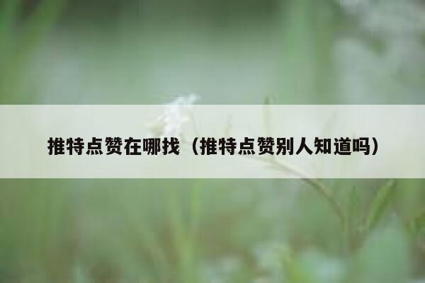 推特点赞在哪找（推特点赞别人知道吗） 第1张
