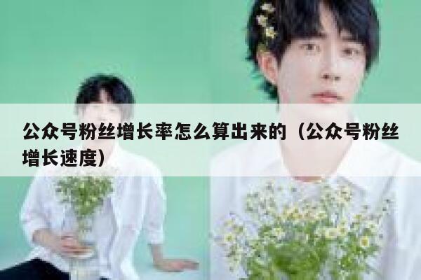 公众号粉丝增长率怎么算出来的（公众号粉丝增长速度） 第1张