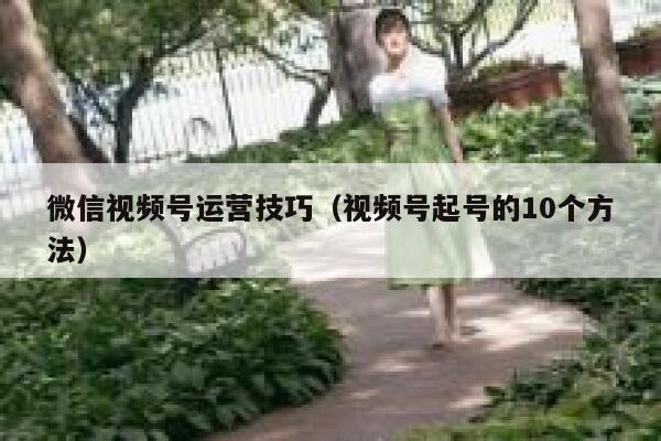微信视频号运营技巧（视频号起号的10个方法） 第1张