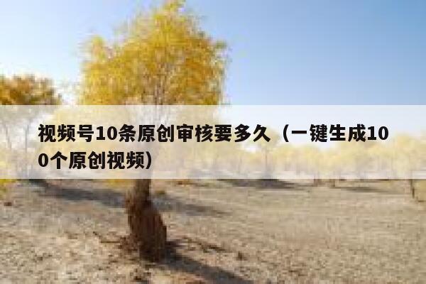 视频号10条原创审核要多久（一键生成100个原创视频） 第1张