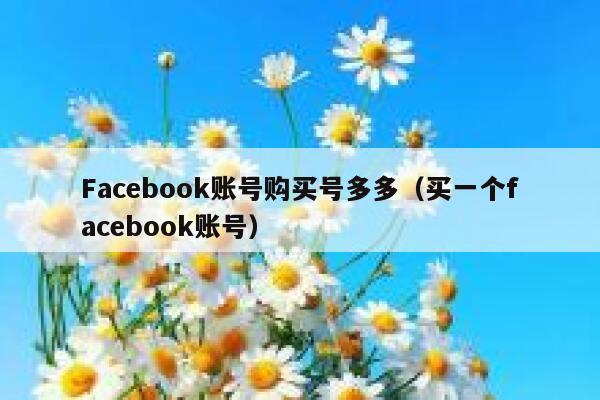 Facebook账号购买号多多（买一个facebook账号） 第1张