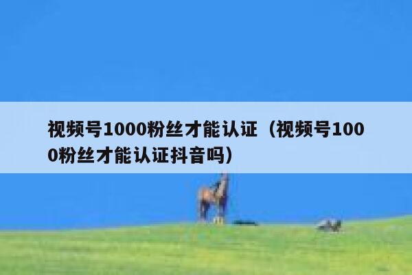 视频号1000粉丝才能认证（视频号1000粉丝才能认证抖音吗） 第1张