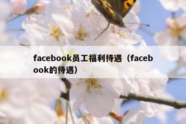 facebook员工福利待遇（facebook的待遇） 第1张