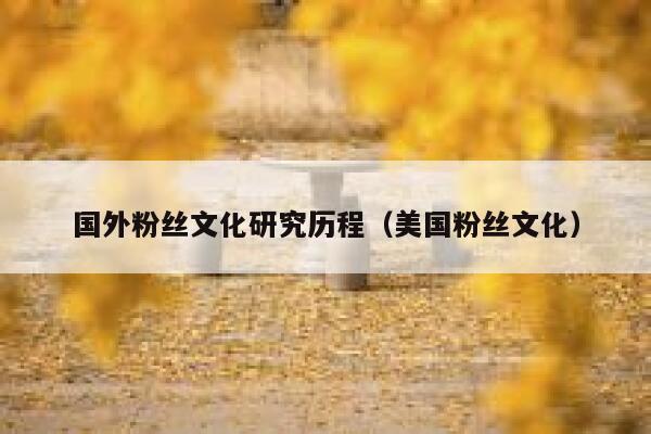 国外粉丝文化研究历程（美国粉丝文化） 第1张