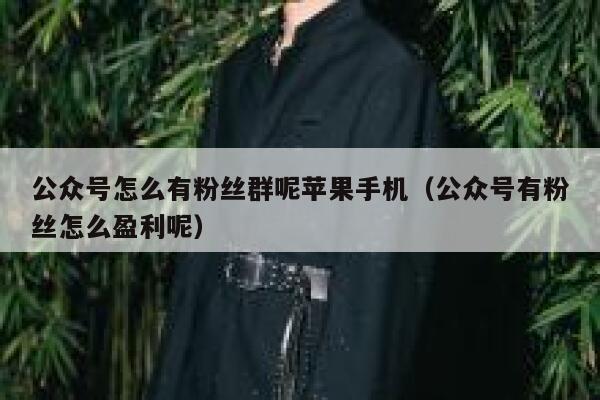 公众号怎么有粉丝群呢苹果手机（公众号有粉丝怎么盈利呢） 第1张