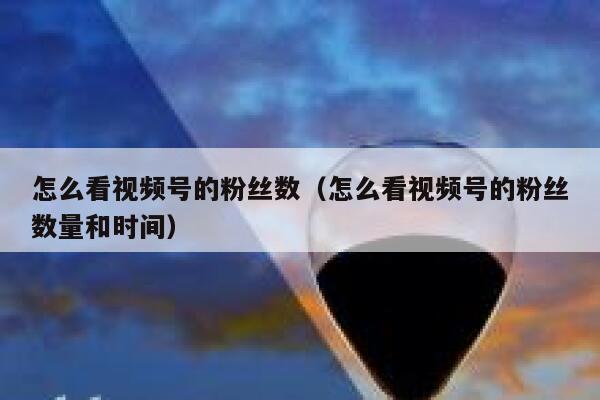 怎么看视频号的粉丝数（怎么看视频号的粉丝数量和时间） 第1张