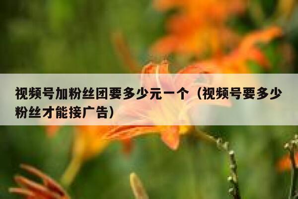 视频号加粉丝团要多少元一个（视频号要多少粉丝才能接广告） 第1张
