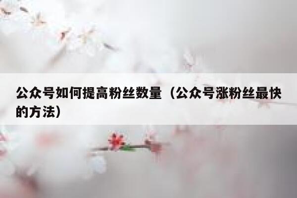 公众号如何提高粉丝数量（公众号涨粉丝最快的方法） 第1张