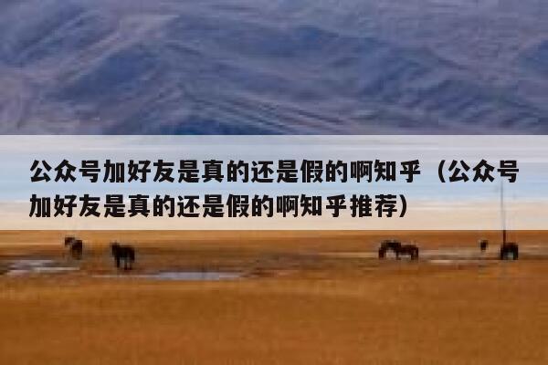 公众号加好友是真的还是假的啊知乎（公众号加好友是真的还是假的啊知乎推荐） 第1张