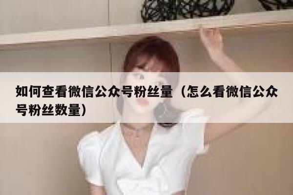 如何查看微信公众号粉丝量（怎么看微信公众号粉丝数量） 第1张