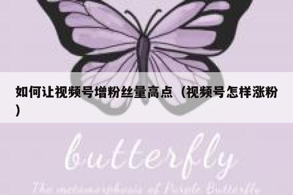 如何让视频号增粉丝量高点（视频号怎样涨粉） 第1张