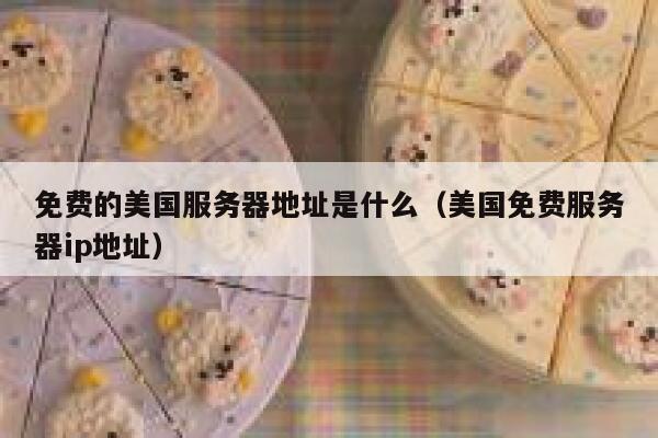 免费的美国服务器地址是什么（美国免费服务器ip地址） 第1张