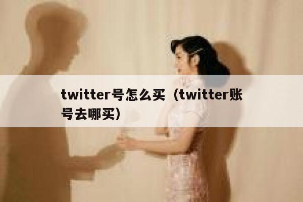 twitter号怎么买（twitter账号去哪买） 第1张