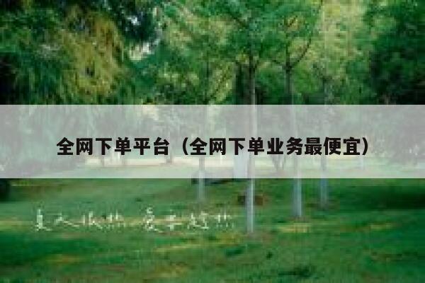 全网下单平台（全网下单业务最便宜） 第1张