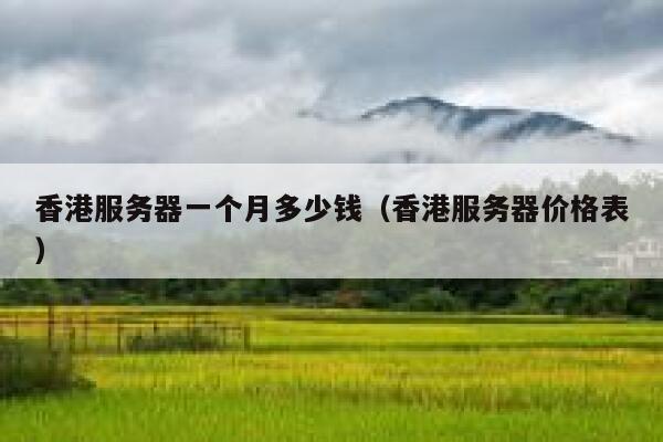 香港服务器一个月多少钱（香港服务器价格表） 第1张