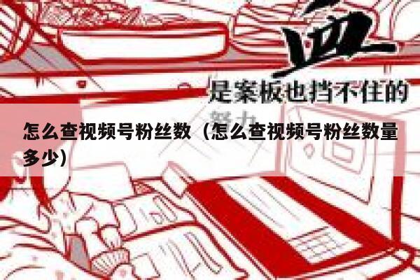 怎么查视频号粉丝数（怎么查视频号粉丝数量多少） 第1张