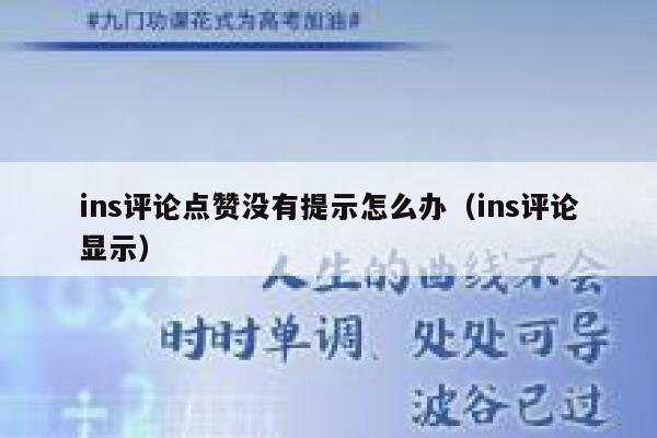 ins评论点赞没有提示怎么办（ins评论显示） 第1张