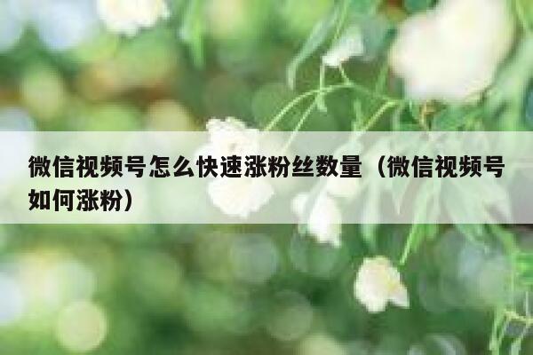微信视频号怎么快速涨粉丝数量（微信视频号如何涨粉） 第1张