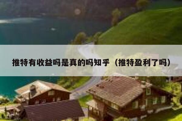 推特有收益吗是真的吗知乎（推特盈利了吗） 第1张