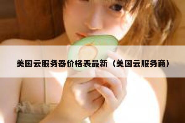 美国云服务器价格表最新（美国云服务商） 第1张