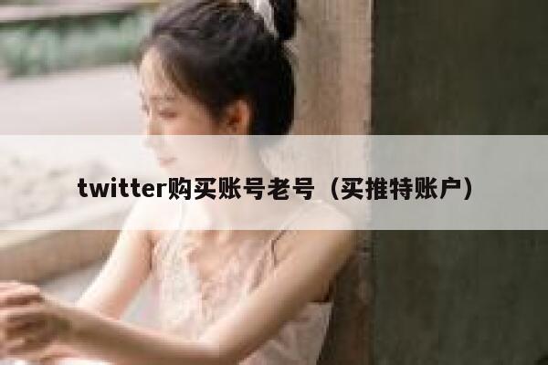 twitter购买账号老号（买推特账户） 第1张