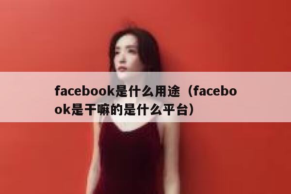 facebook是什么用途（facebook是干嘛的是什么平台） 第1张