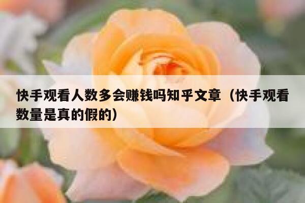 快手观看人数多会赚钱吗知乎文章（快手观看数量是真的假的） 第1张
