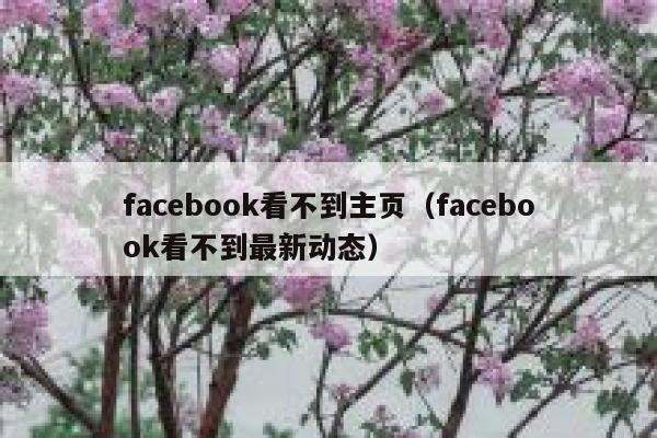 facebook看不到主页（facebook看不到最新动态） 第1张