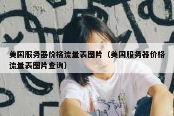 美国服务器价格流量表图片（美国服务器价格流量表图片查询） 第1张