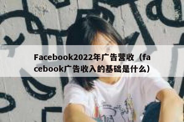 Facebook2022年广告营收（facebook广告收入的基础是什么） 第1张